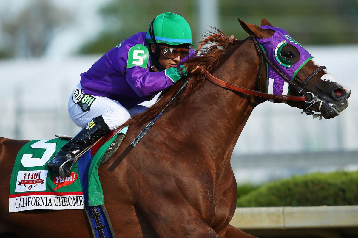 What Happens After the Kentucky Derby? Where the Past 5 Big Race Winners Are Now kentucky-derby-3