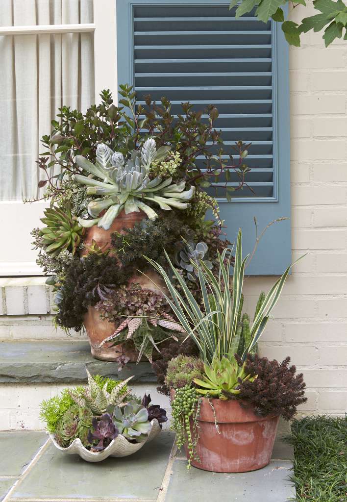 Heat Tolerant Container Gardens For Sweltering Summers Southern Living,Spanish Coffee Table