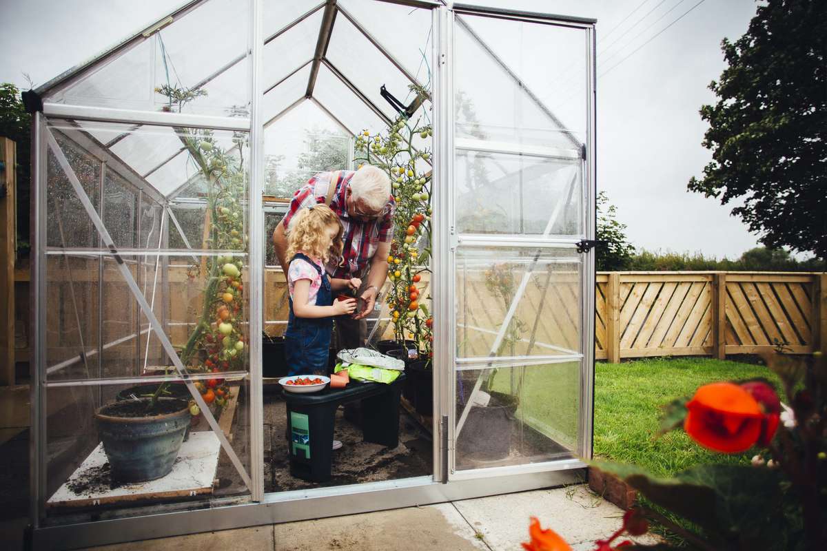 Mini Greenhouse Backyard