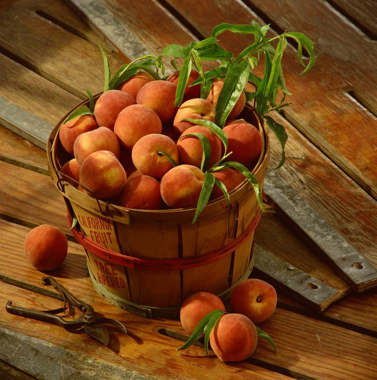 peach basket
