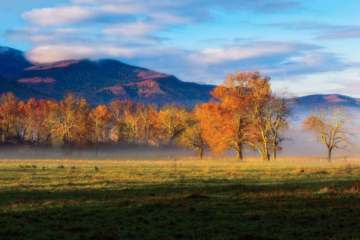 Cades Cove in Tennessee Mountain View