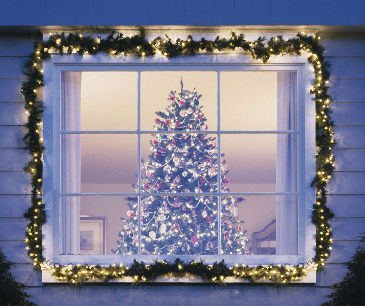 Christmas Tree in Window