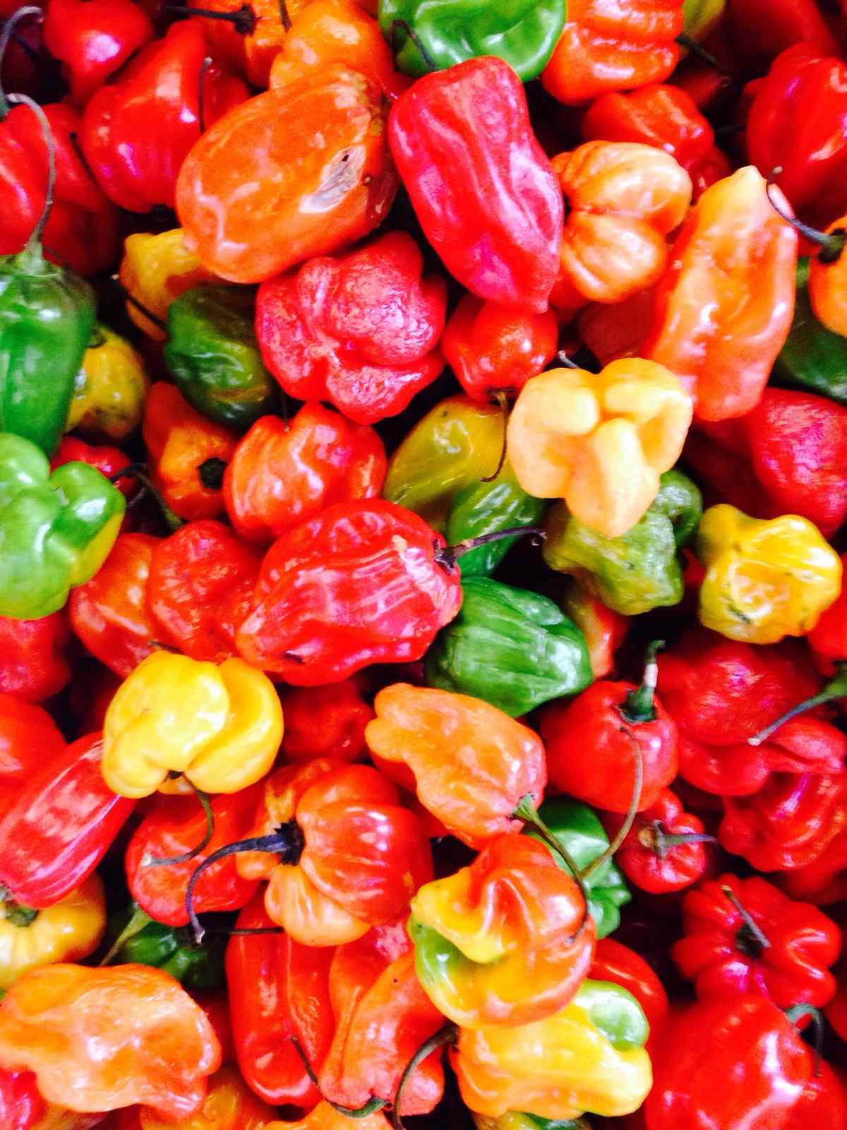 hot habanero peppers