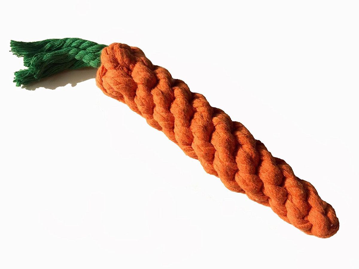 Rope Carrot Dog Toy