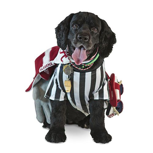 Referee Dog Costume