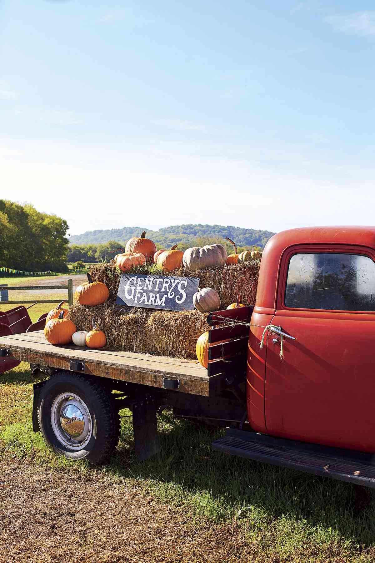 Katie Jacobs Fall Tailgate a Gentry Farm Pumpkin Patch