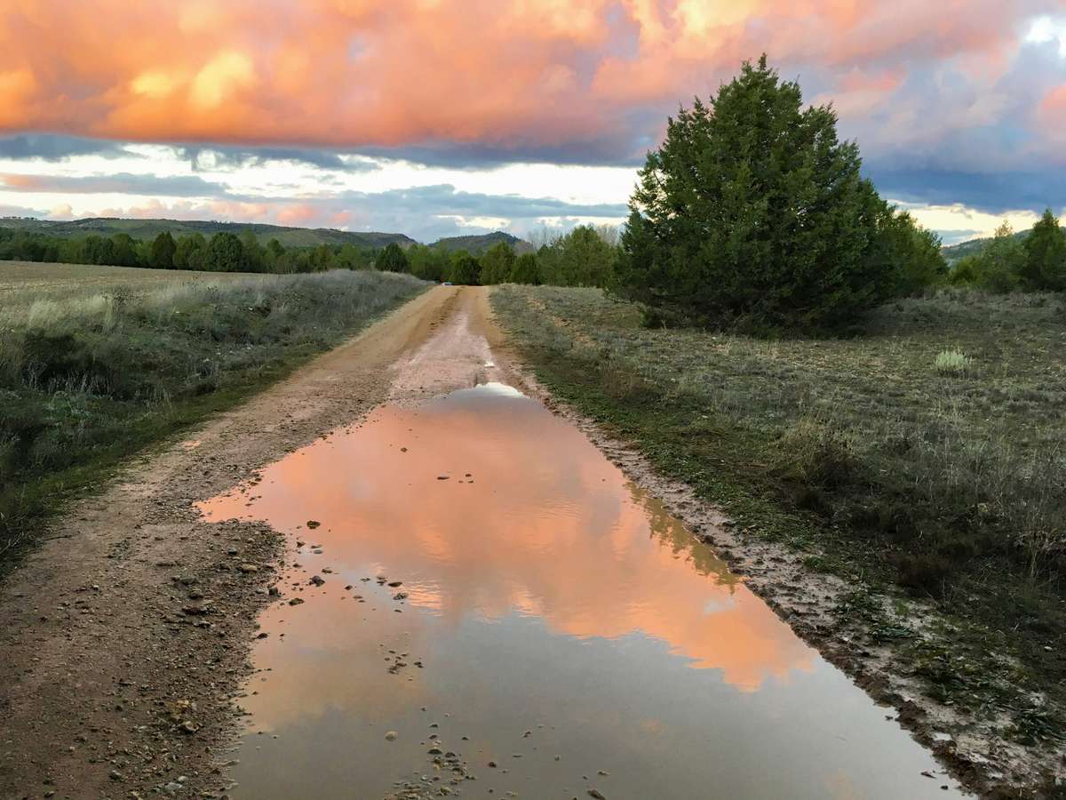 Sunset with puddle after a rainy day