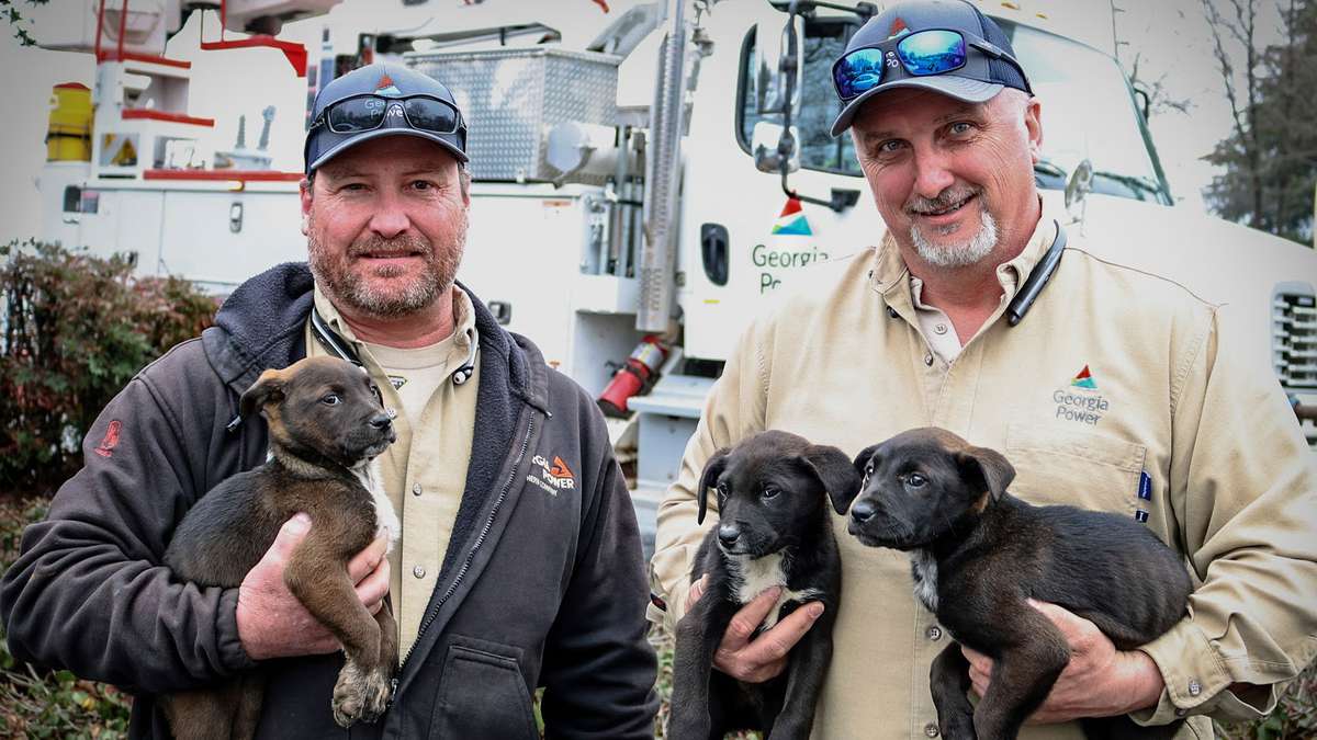Georgia Power Linemen Puppy Rescue
