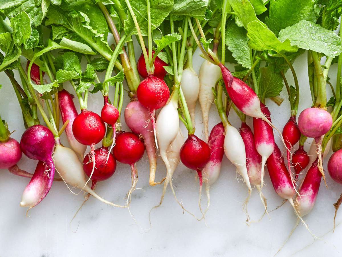 Our Favorite Types of Radishes  Southern Living