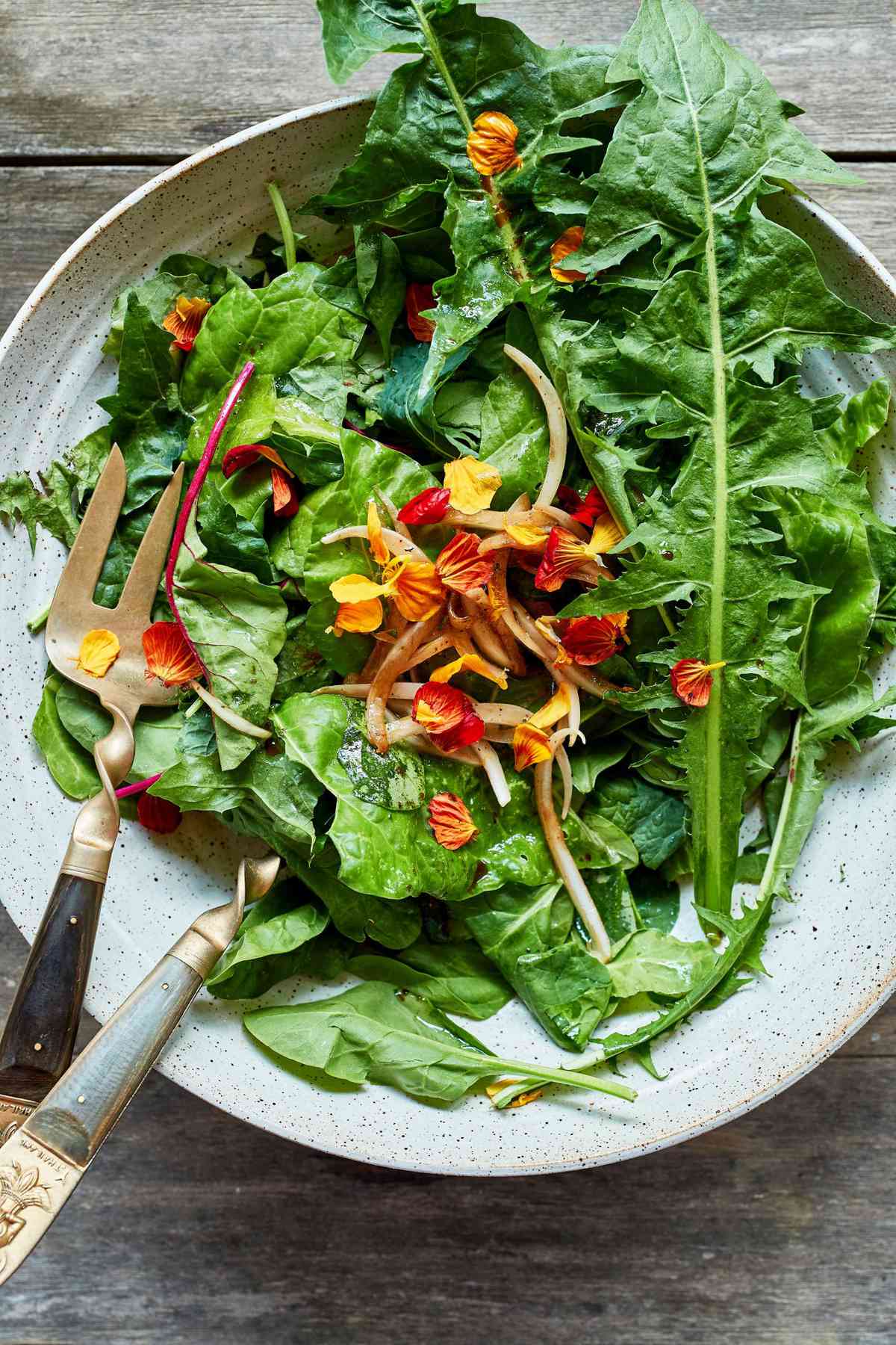 Quick Salad by Lauren Liess: Rainbow Chard, Bibb Lettuce, Kale, Nasturtium Petals, and Dandelion leaves