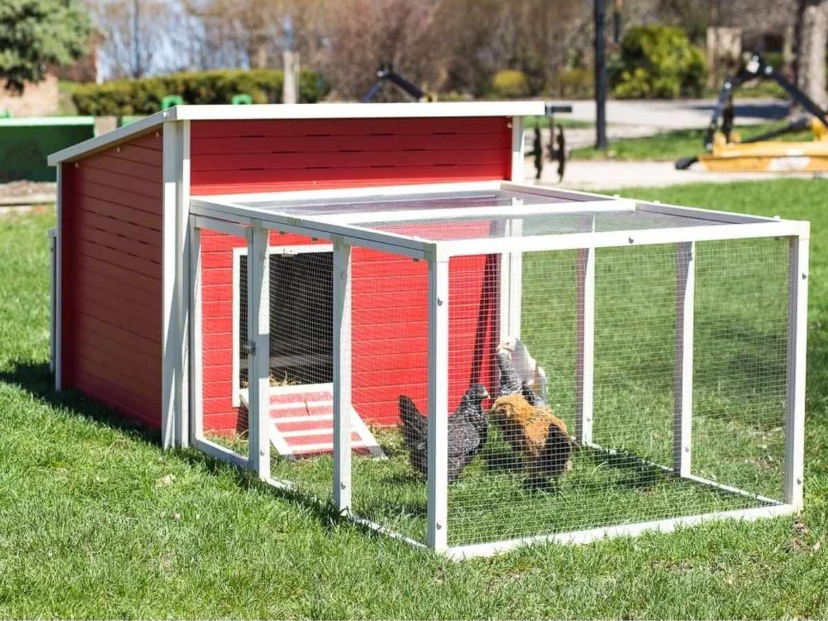 The 12 Best Chicken Coops To Buy Online 2020 Southern Living