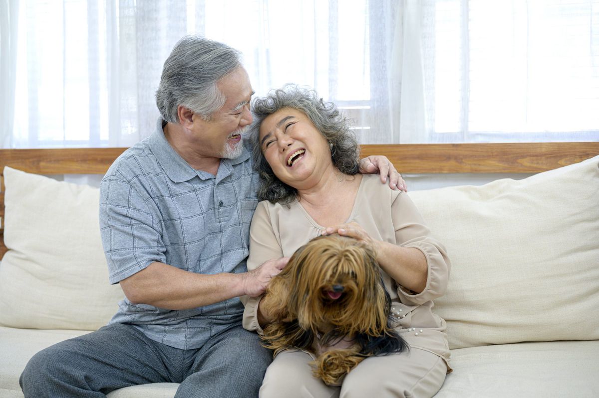 Senior couple with dog
