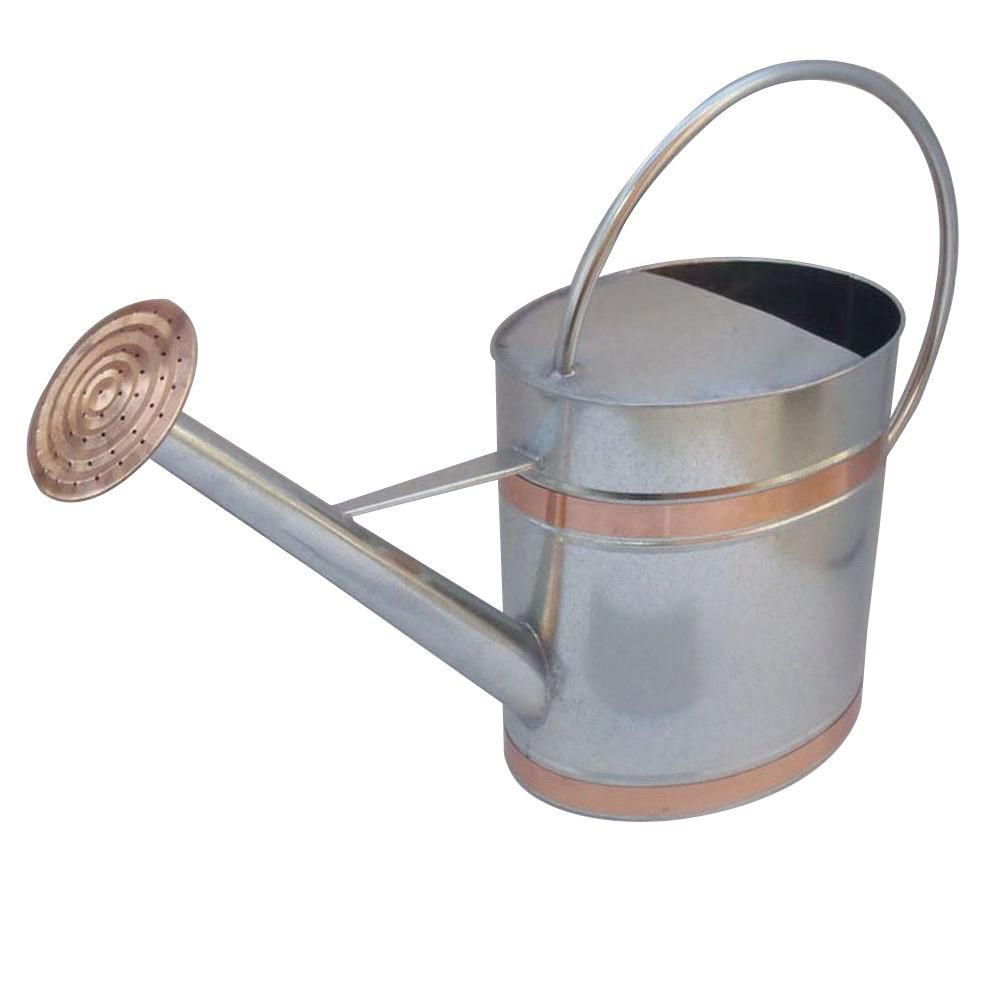 Silver Metal Watering Can