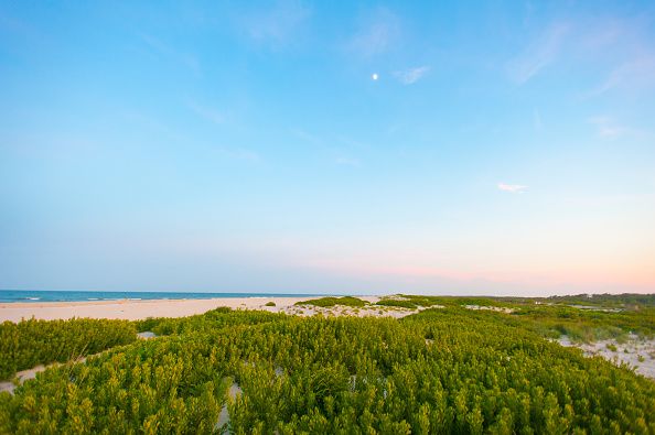 Wild and windy, this “civilized” stretch in the midst of the famed Assateague Island National Seashore has 12 miles of drivable shoreline (with a proper OSV permit) and offers super crabbing, clamming, surf fishing, and escape, not to mention superb wave