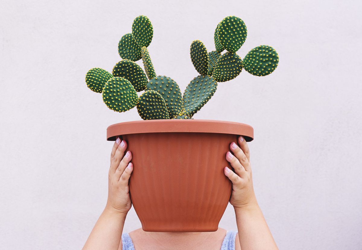 Girl Holding Cactus Plant In Front Of Face Against White Background