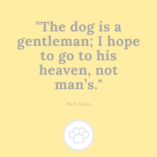 Mark Twain Pet Quote
