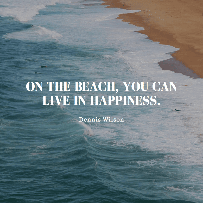 Dennis Wilson Beach Quote