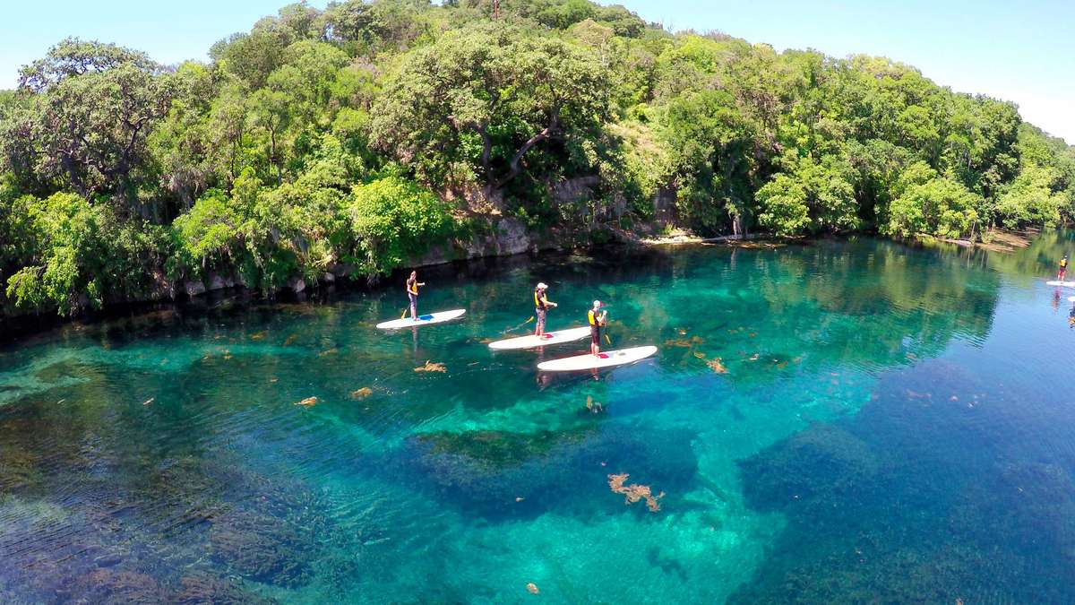 San Marcos River Paddleboarders