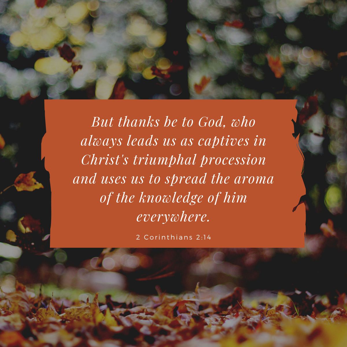 2 Corinthians 2:14