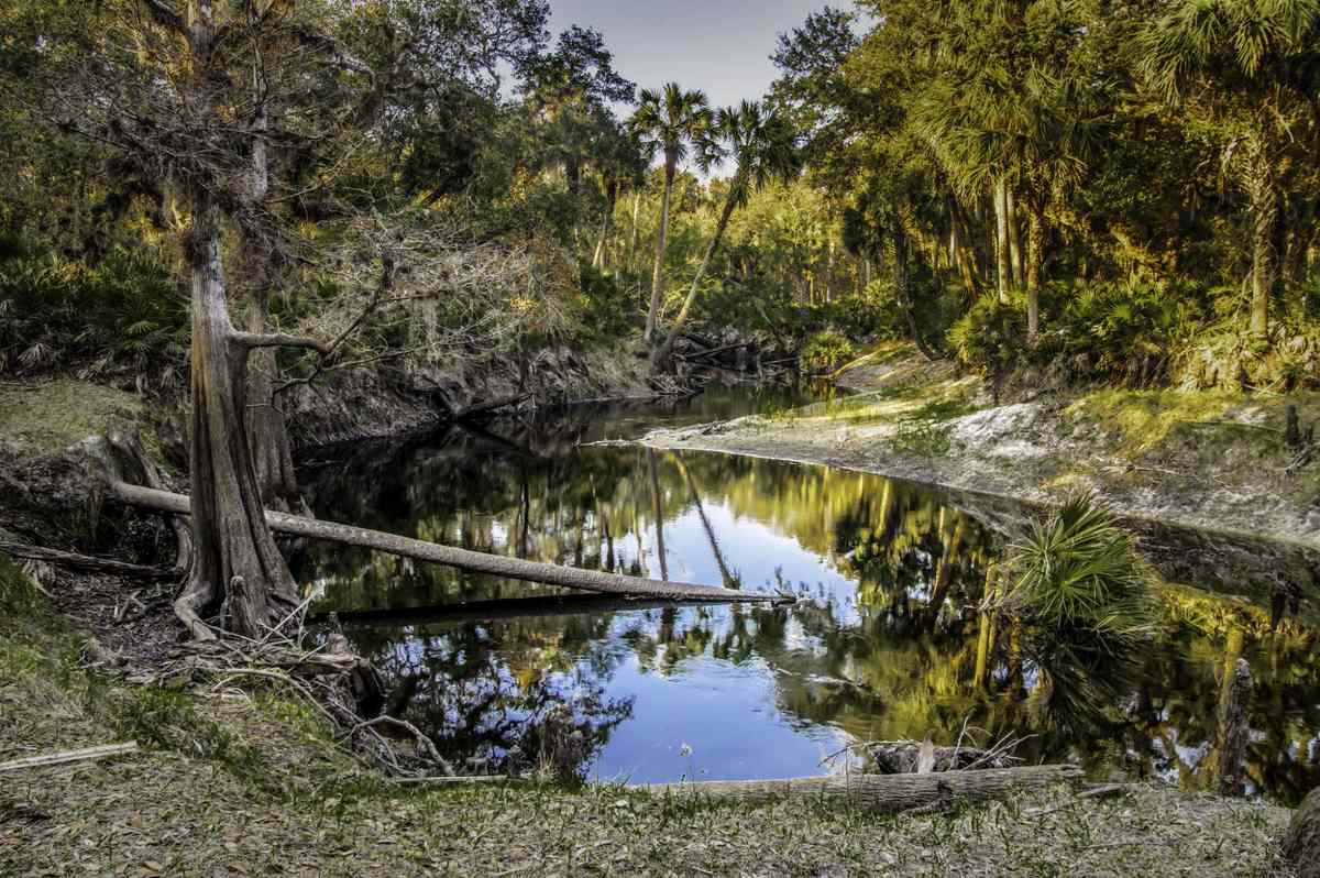 Florida: Econ River Wilderness Area Loop