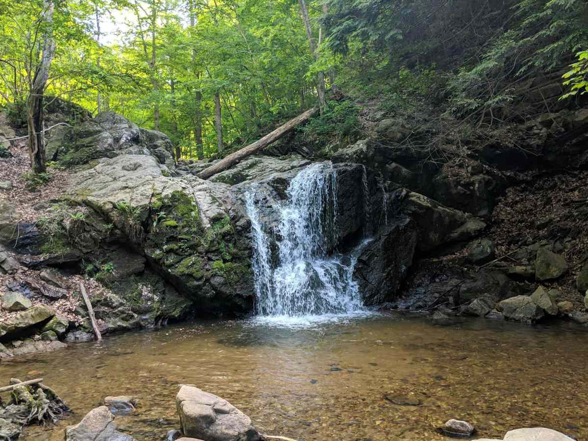Maryland: Cascade Falls Loop Trail