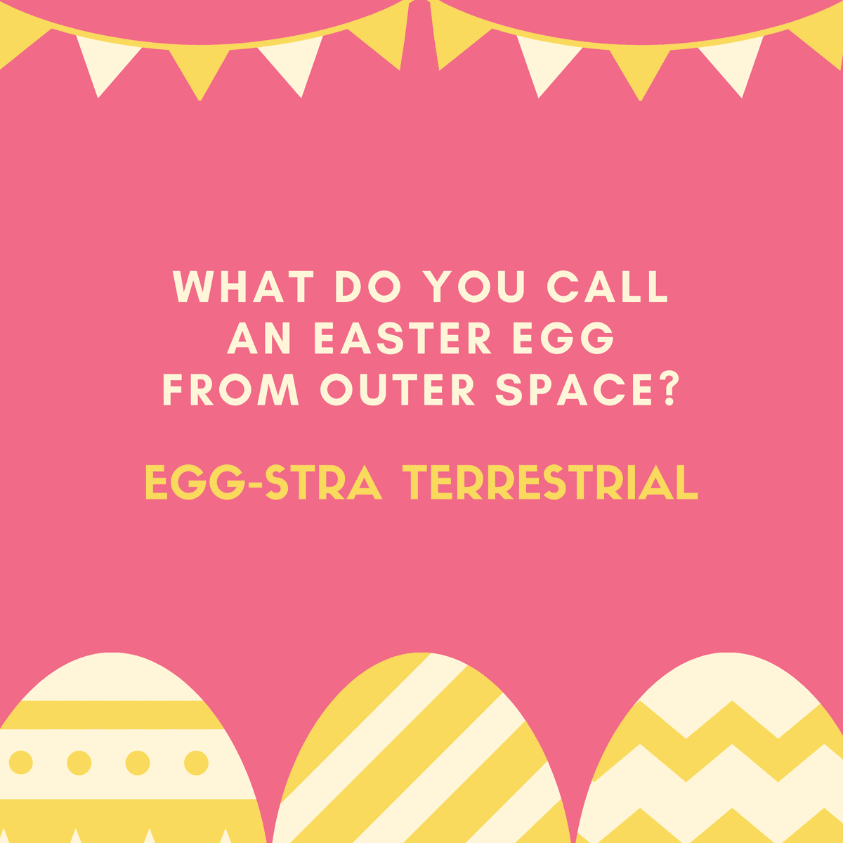 Egg-stra terrestrial