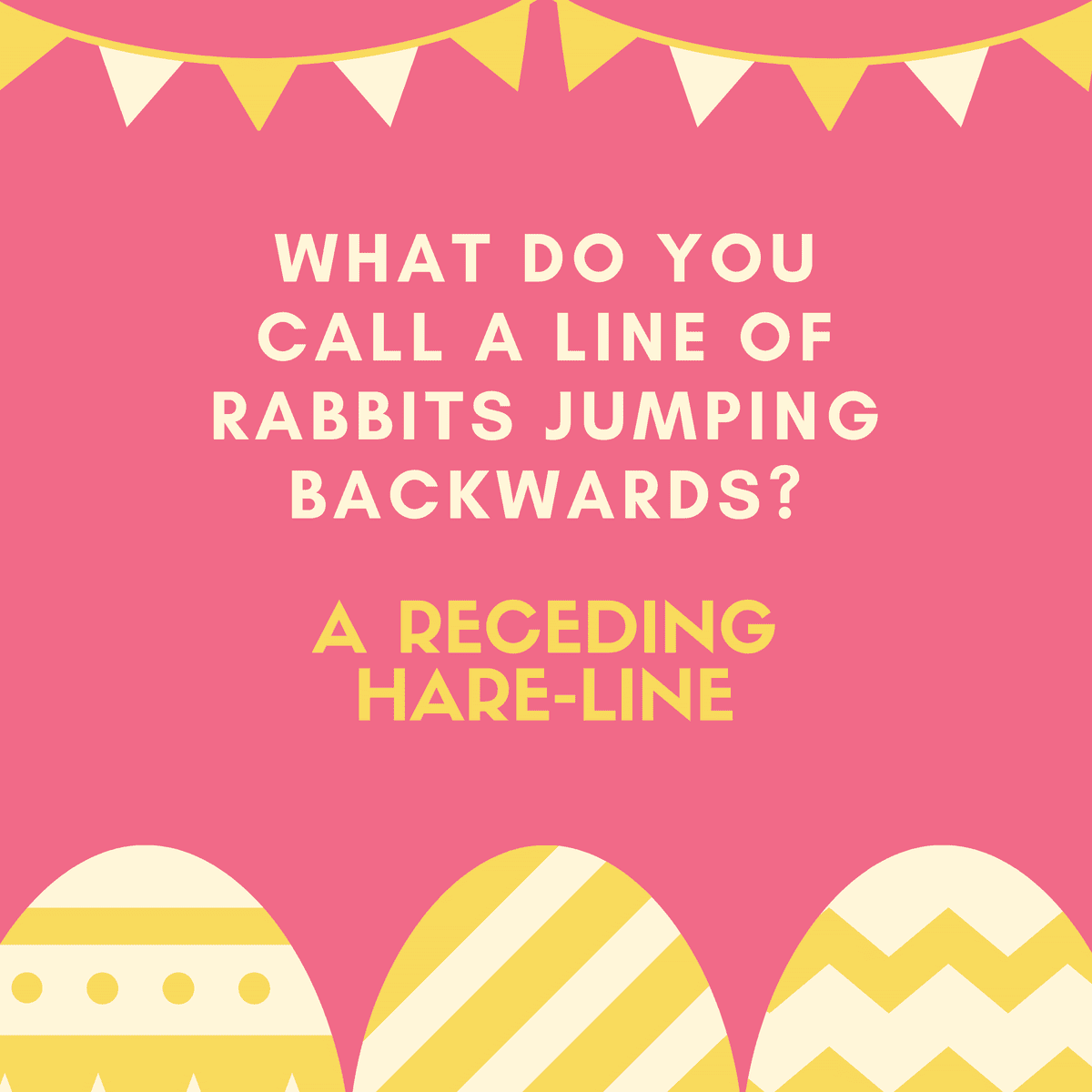 What do you call a line of rabbits jumping backwards? A receding hare-line