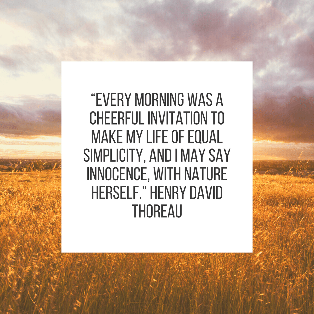 “Every morning was a cheerful invitation to make my life of equal simplicity, and I may say innocence, with Nature herself.” Henry David Thoreau