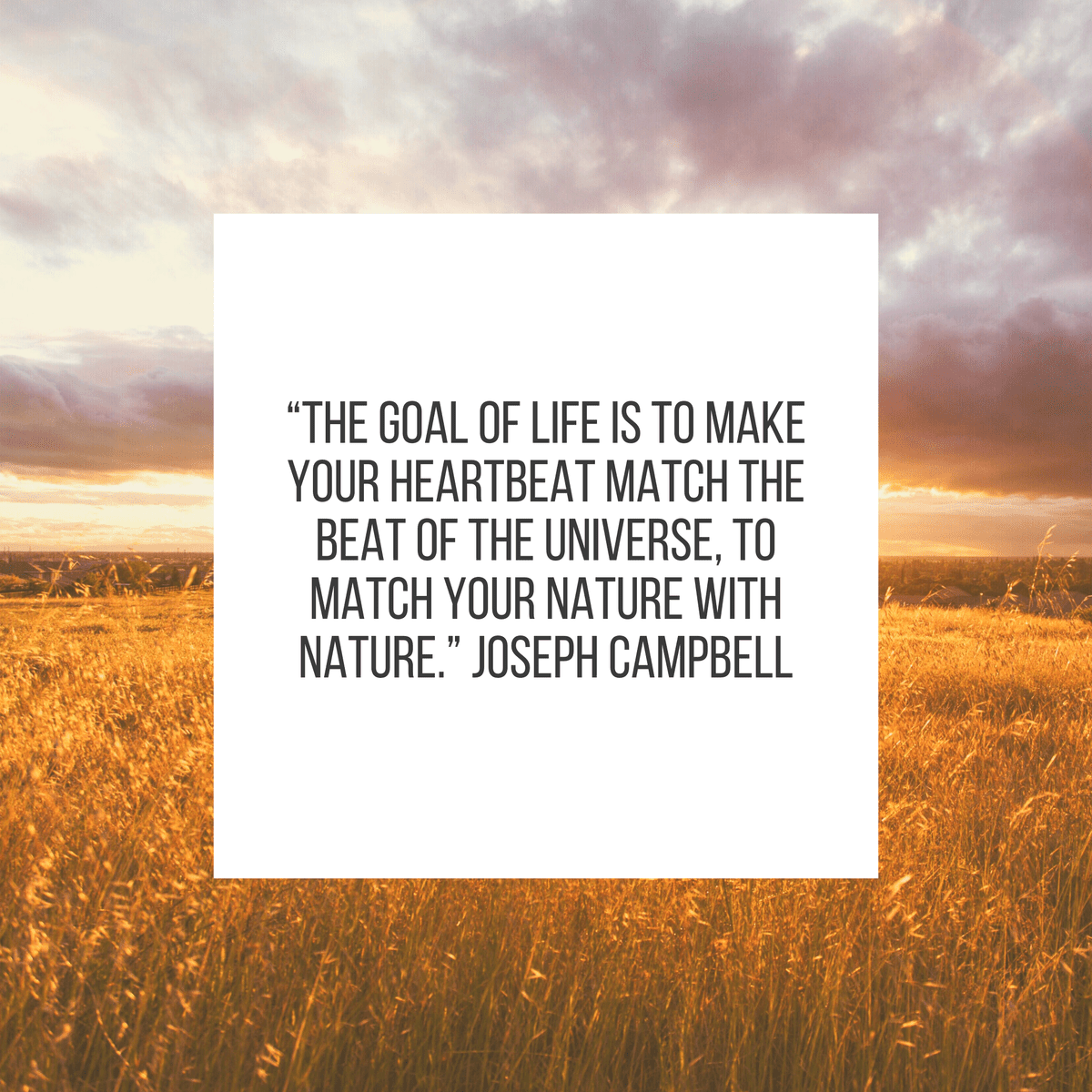 “The goal of life is to make your heartbeat match the beat of the universe, to match your nature with Nature.” Joseph Campbell