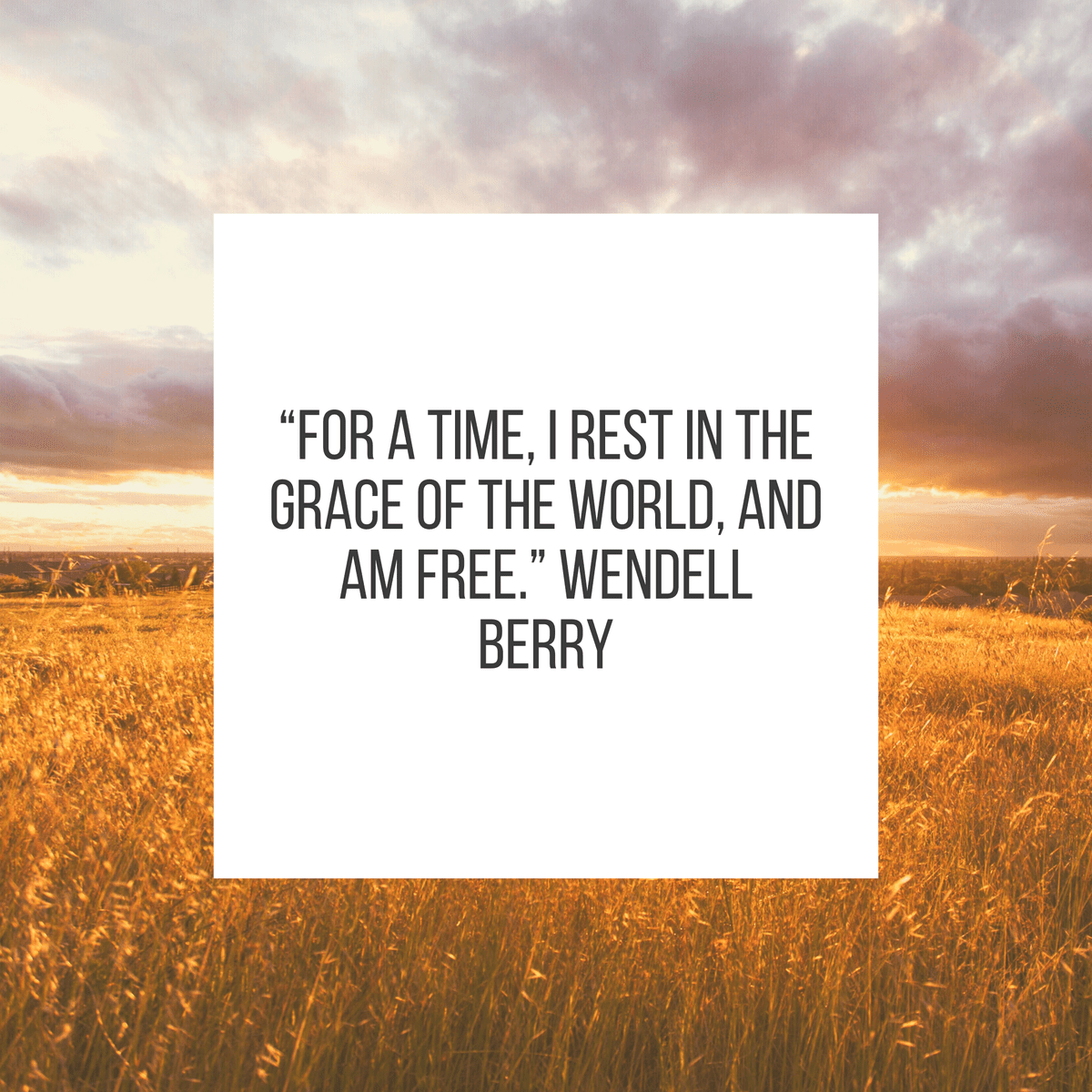 “For a time, I rest in the grace of the world, and am free.” Wendell Berry