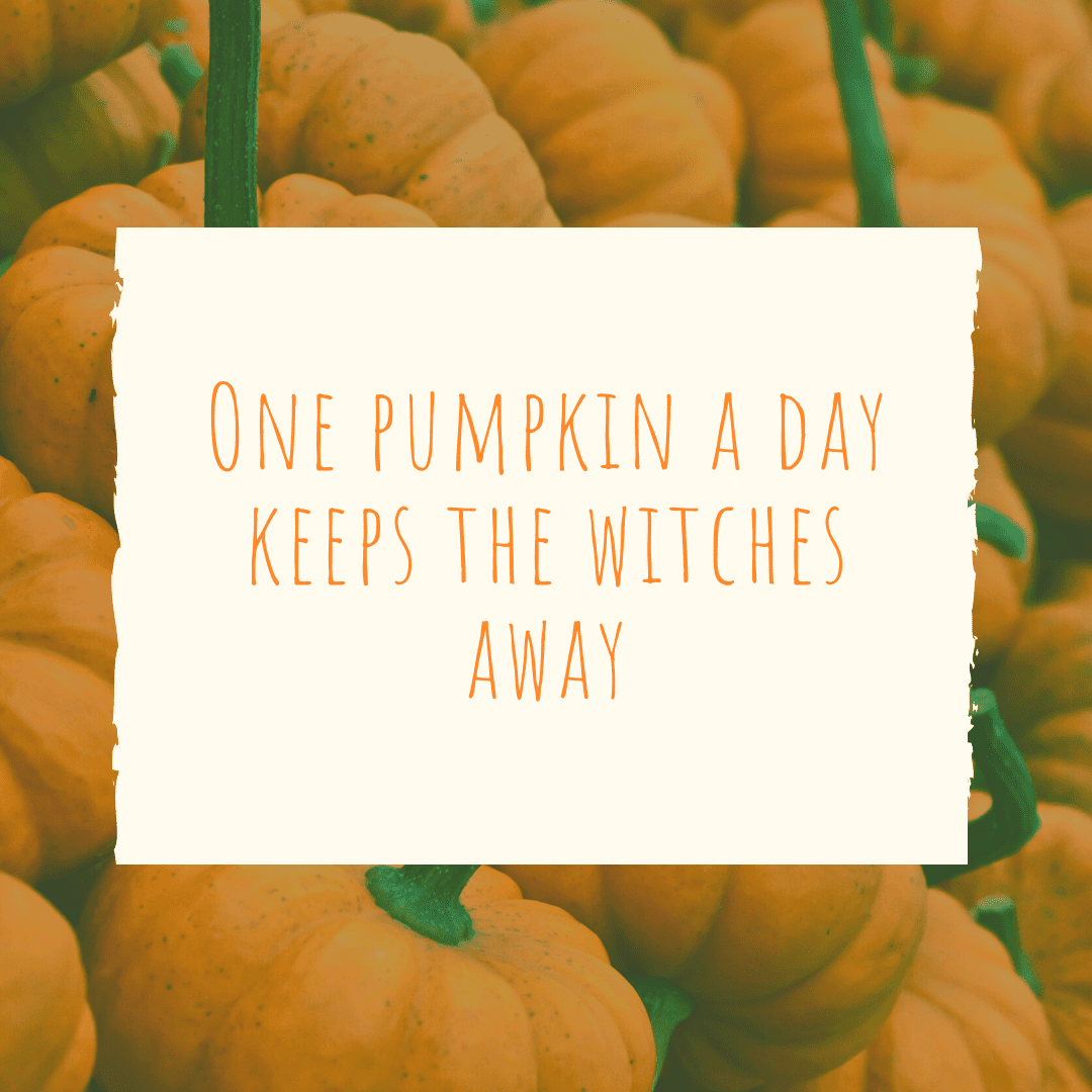 One pumpkin a day keeps the witches away | Pumpkin Patch Captions