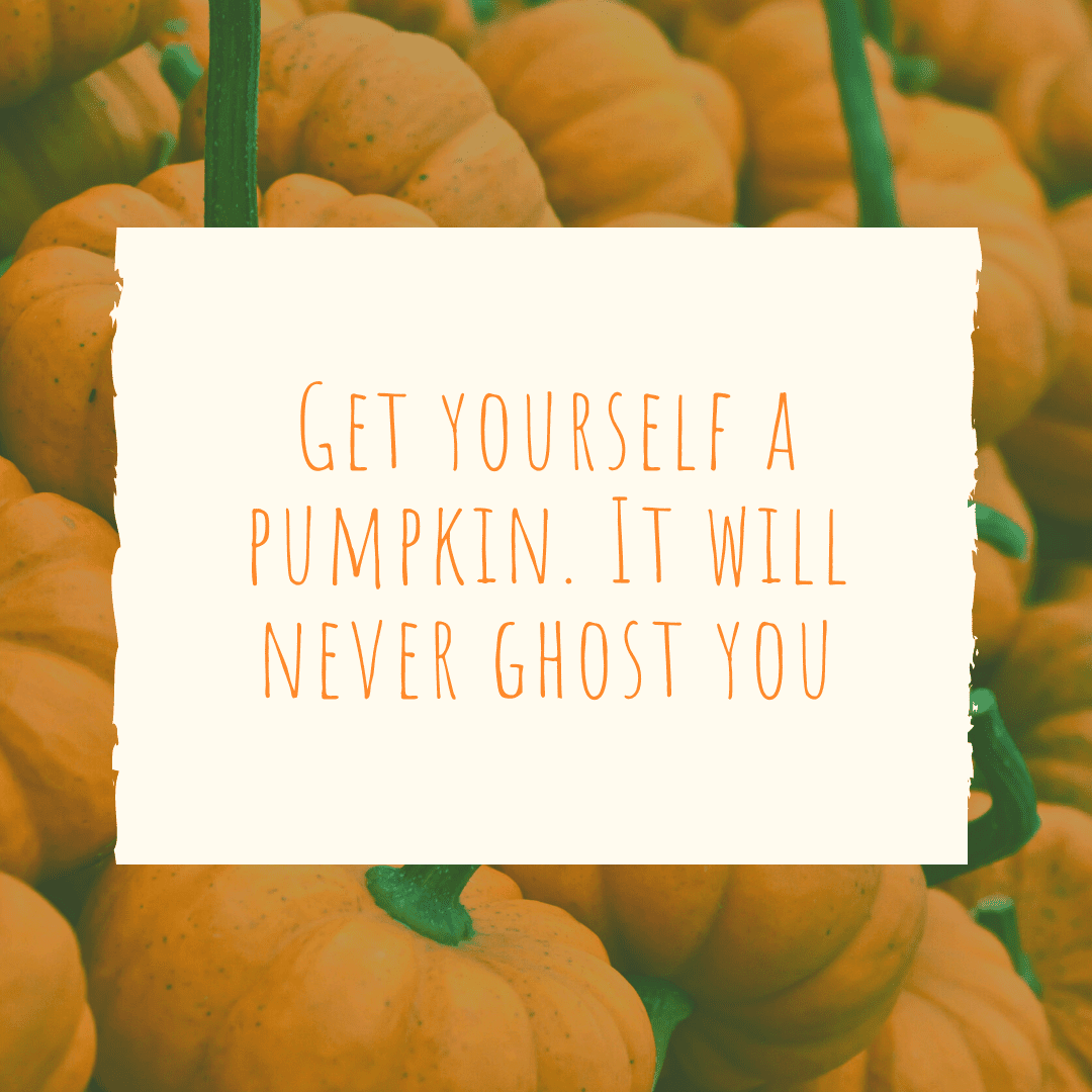 Get yourself a pumpkin. It will never ghost you. | Pumpkin Patch Caption