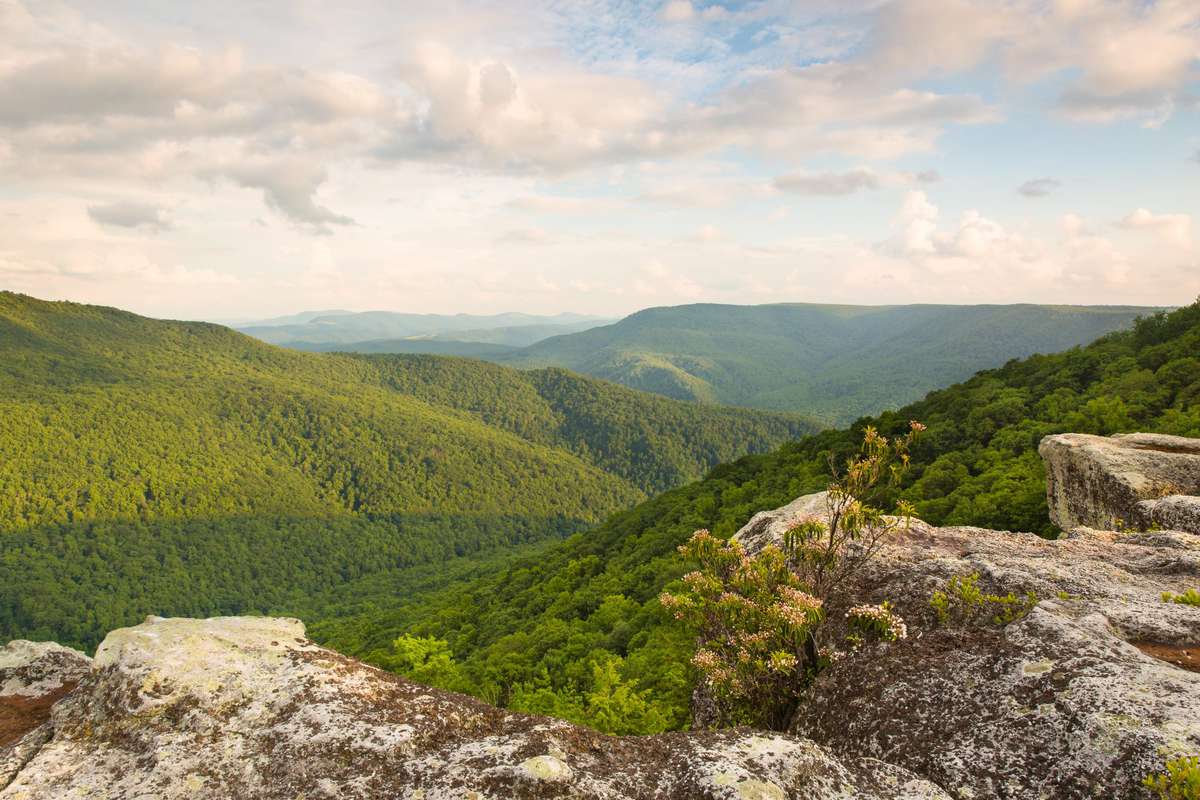 Monongahela National Forest West Virginia