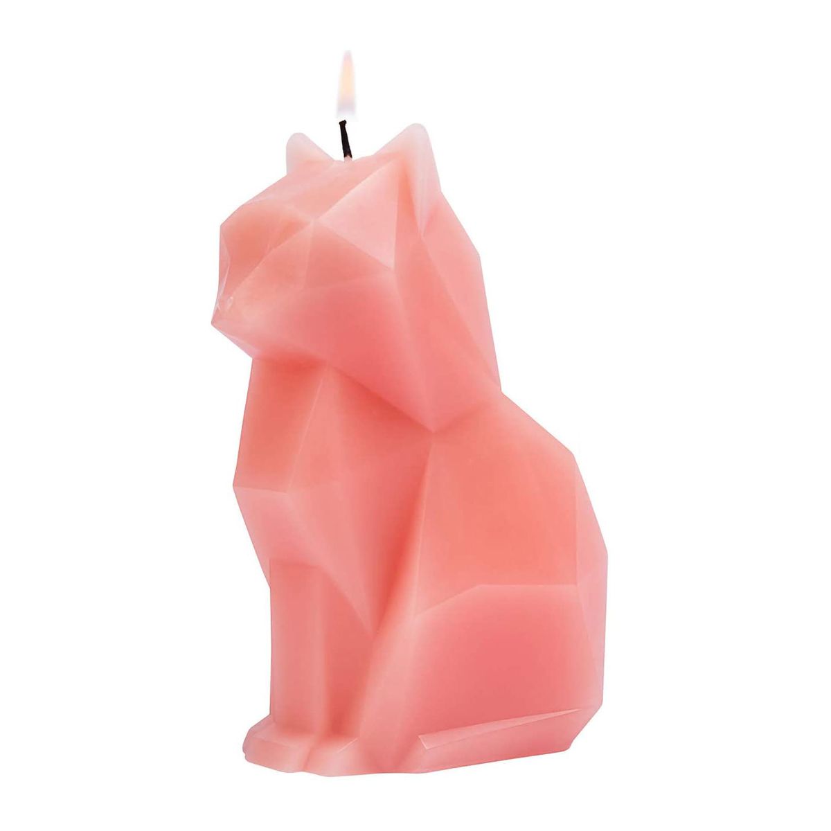 PyroPet Cat Candle