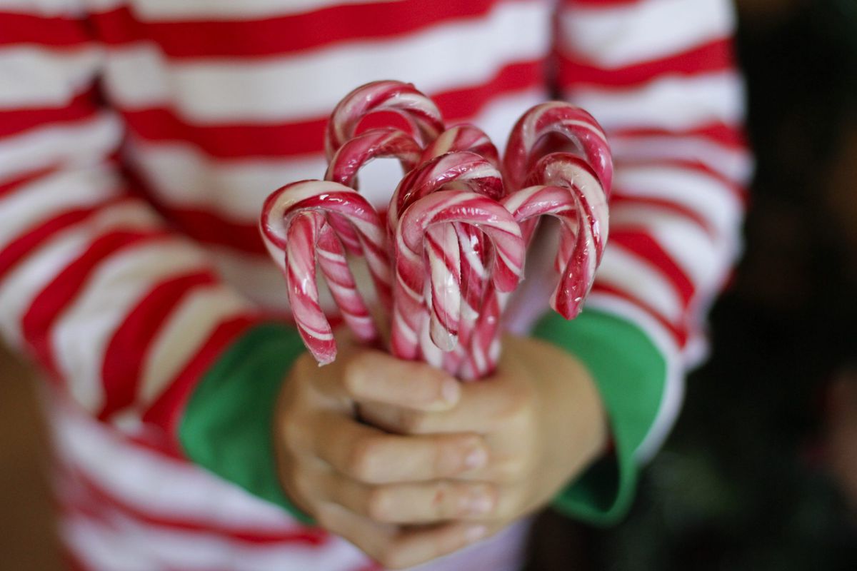 Little hands holding candy canes