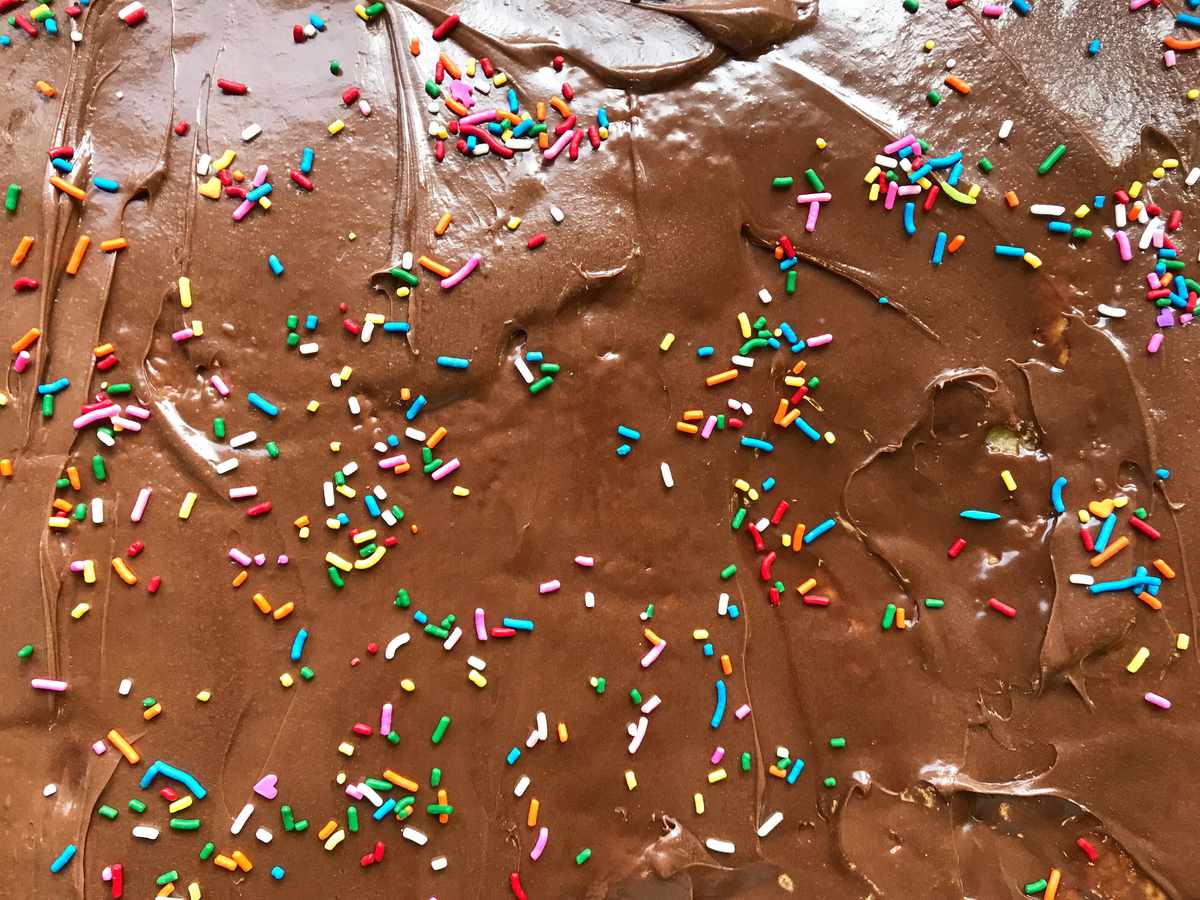 Chocolate Frosting and Rainbow Sprinkles or Jimmies a Sheet Cake