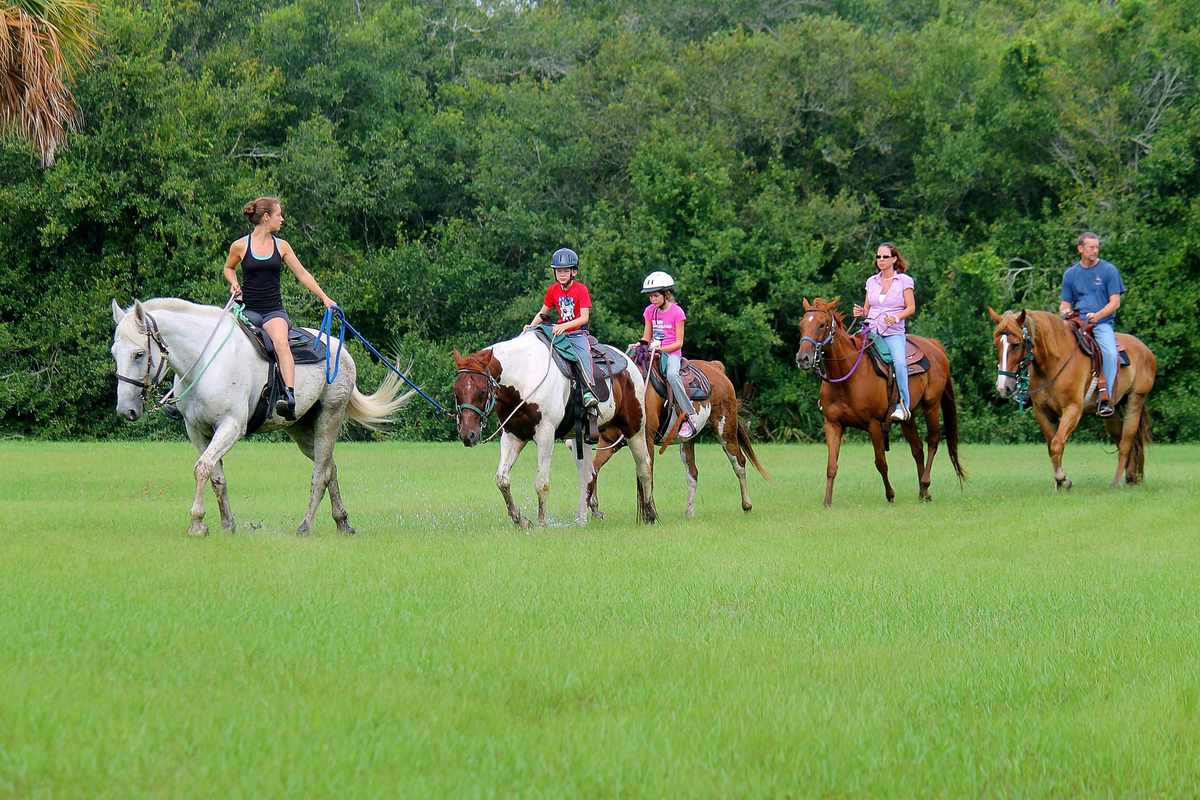 Trail Horseback Riding Group