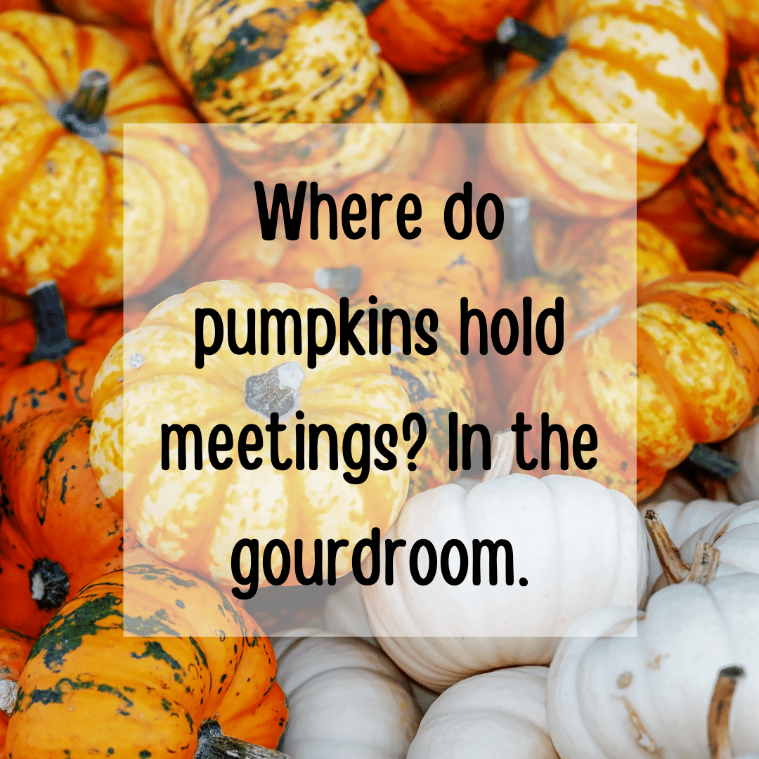 pumpkin puns (3)