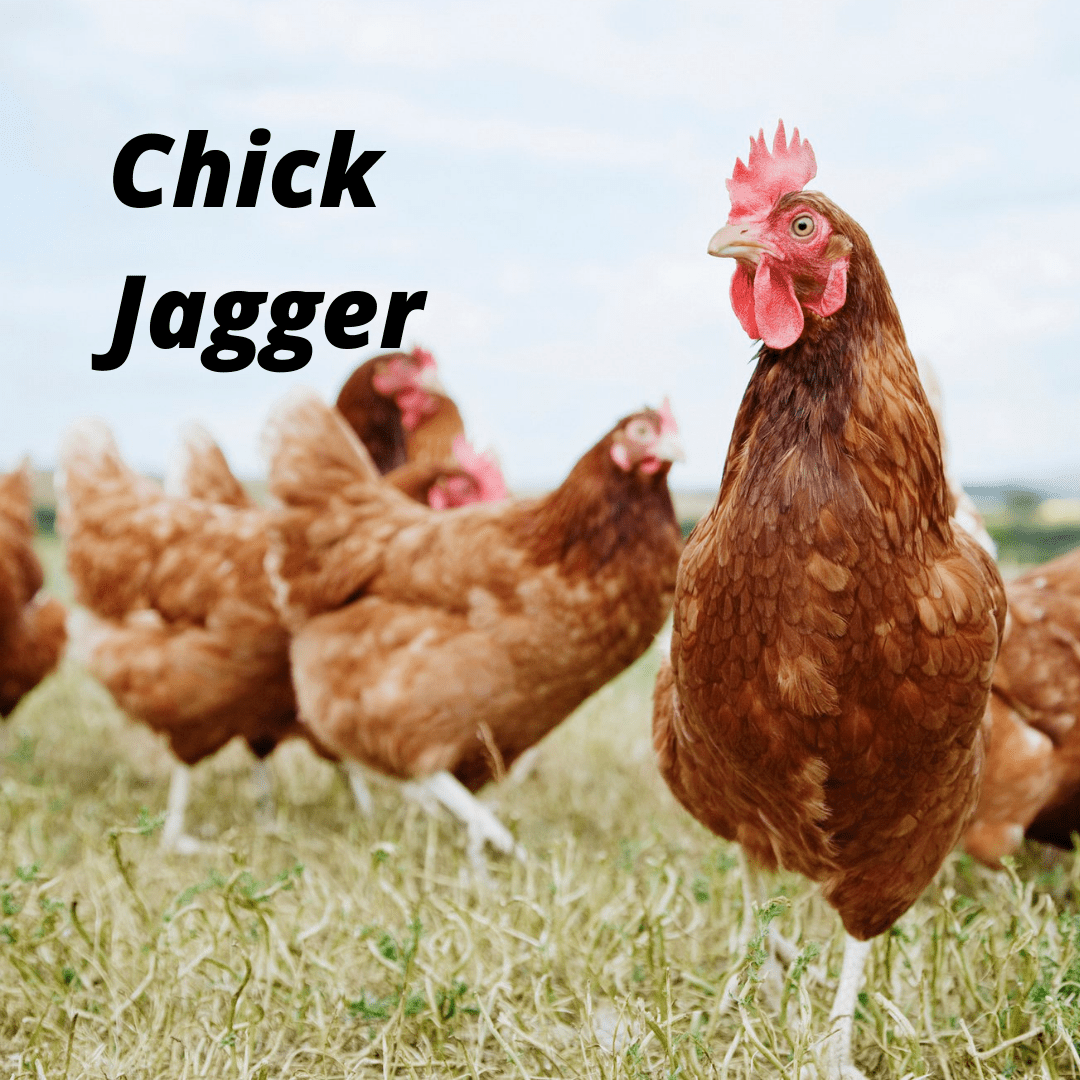 Chick Jagger