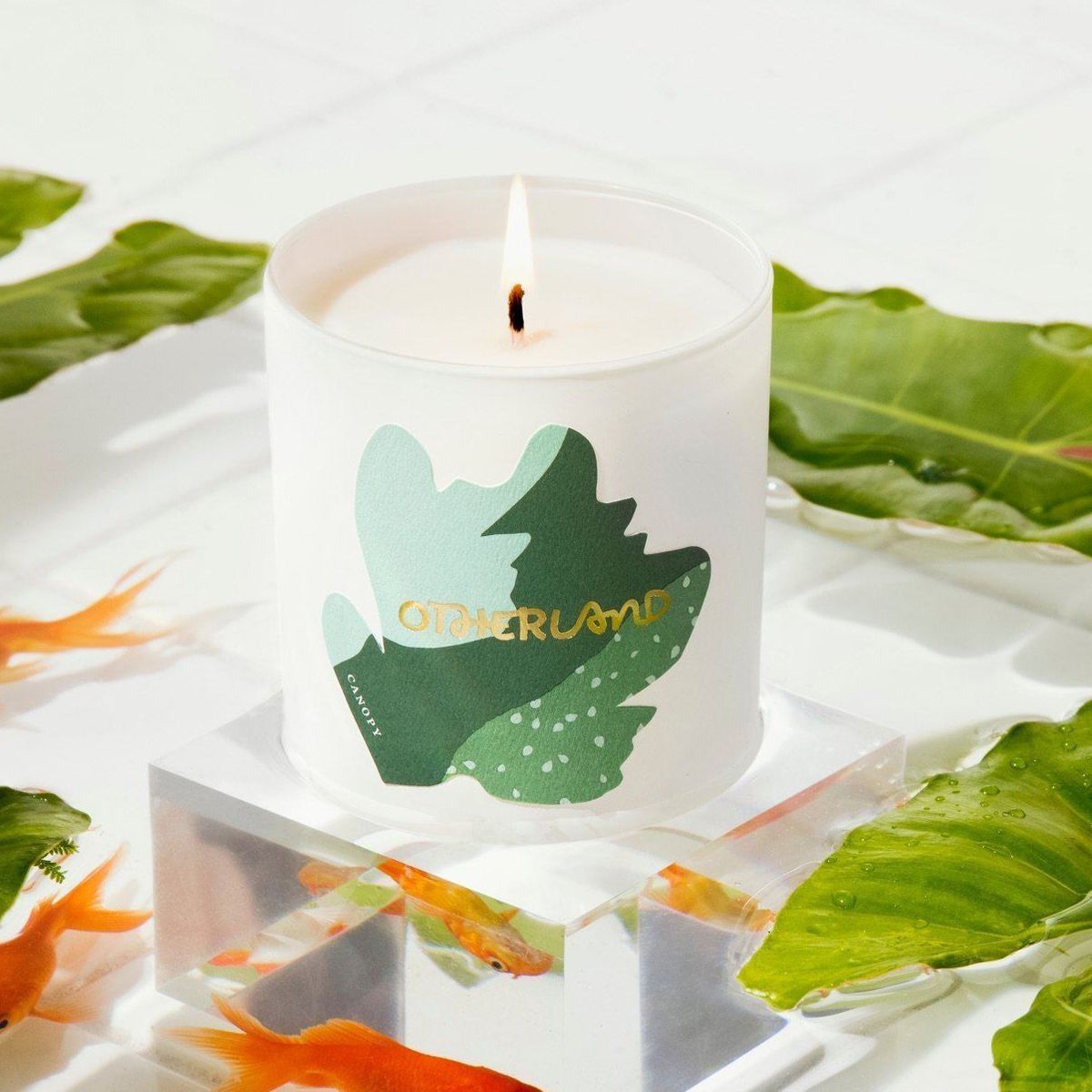 Canopy Candle