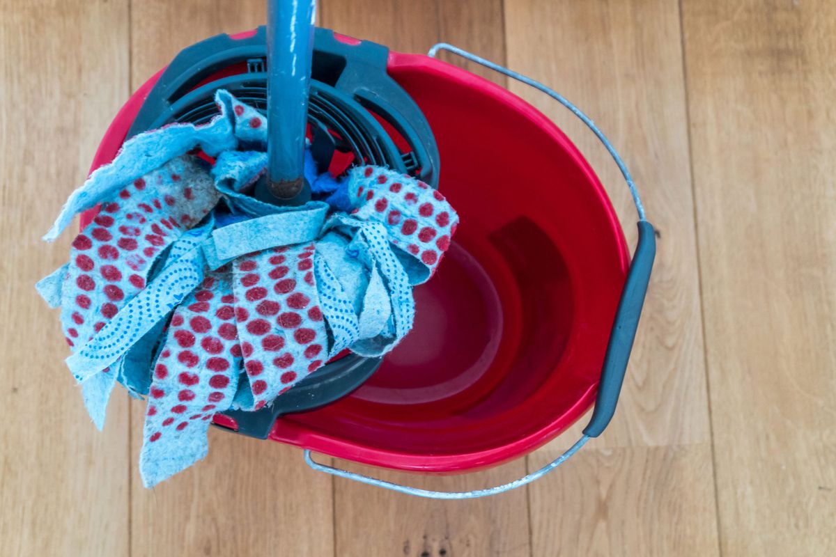 Spin Mop in Red Bucket Hardwood Floors
