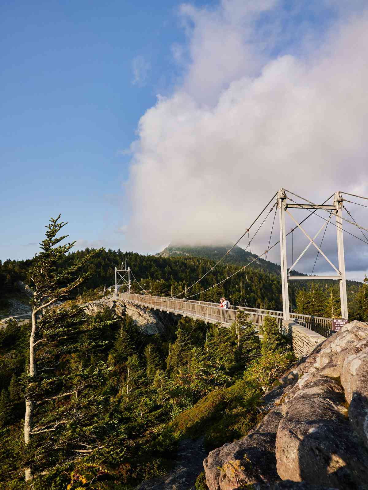 Mile High Swinging Bridge, Grandfather Mountain, NC