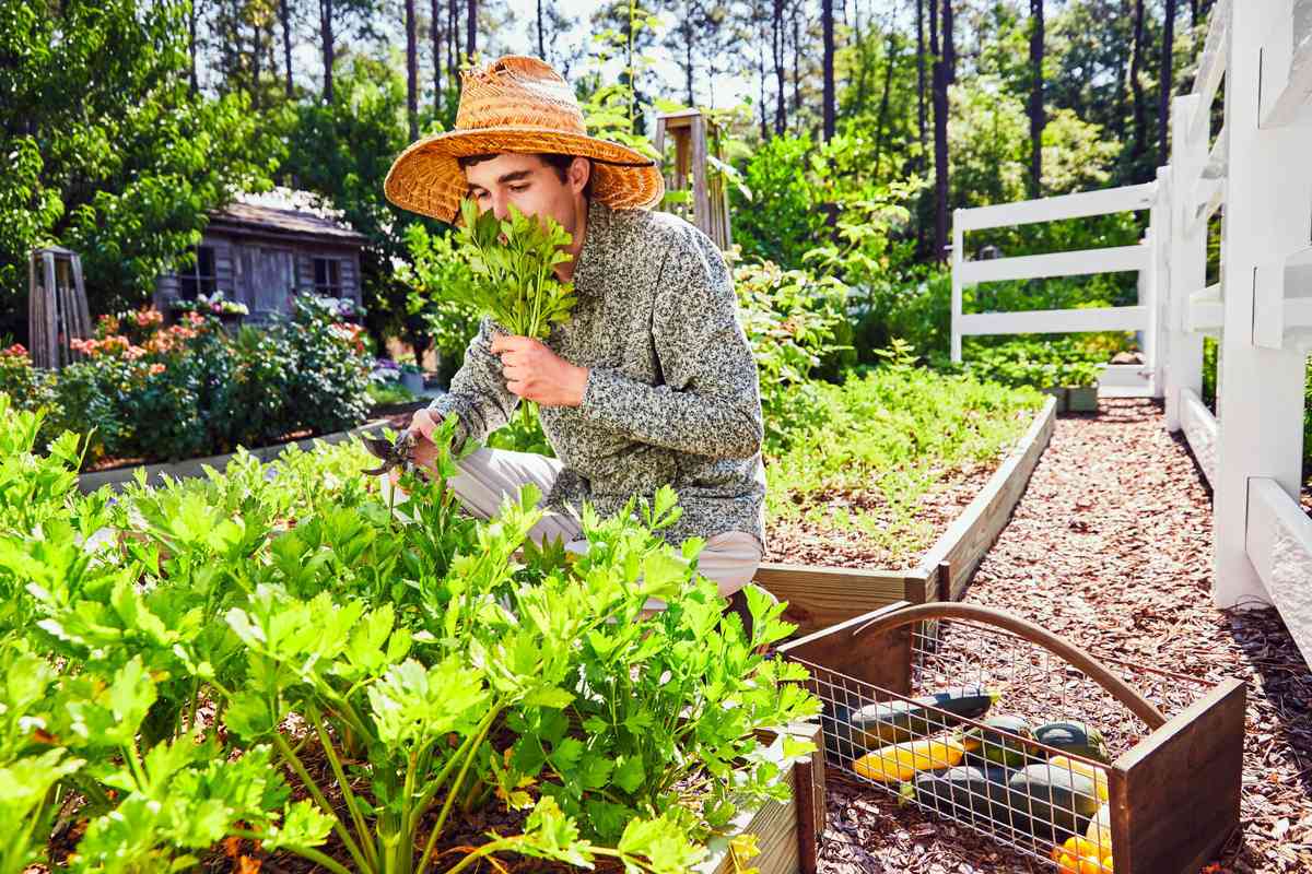 Ryan Clark in his Vegetable Garden