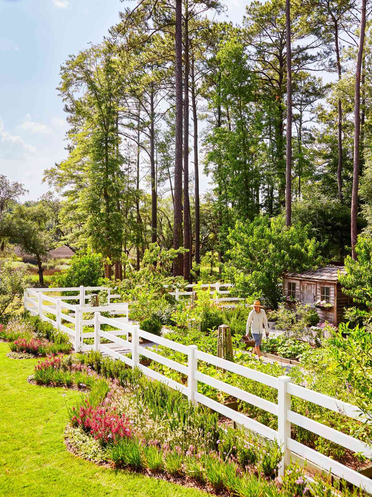 Ryan Clark's Fenced Vegetable Garden