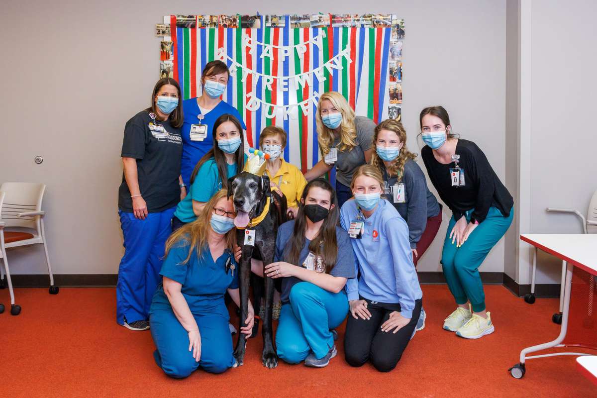 Children's of Alabama Therapy Dog Retirement