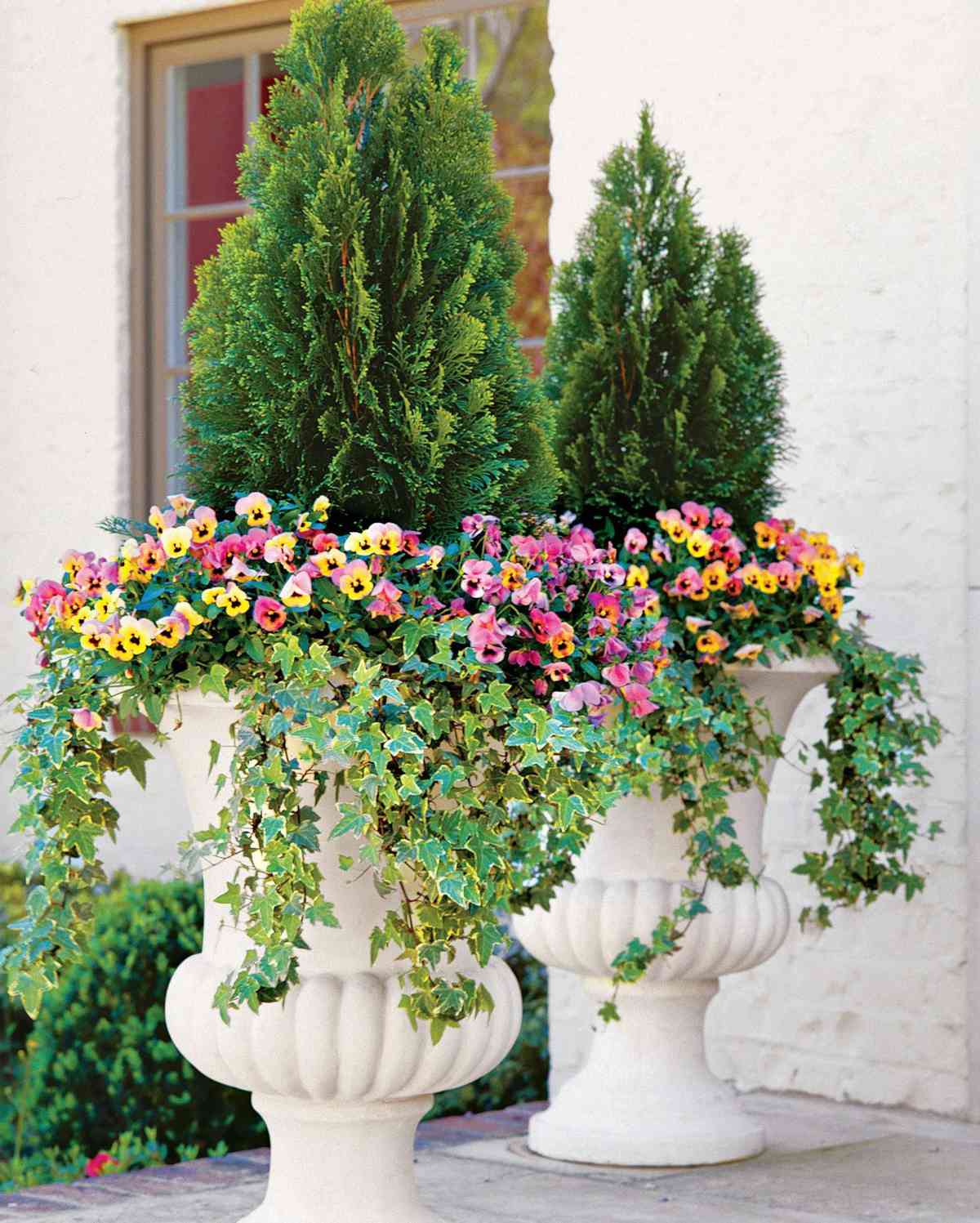 Structure and Style Container Plants
