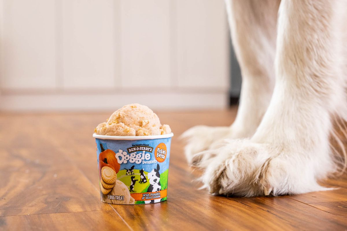Ben & Jerry's Dog Ice Cream