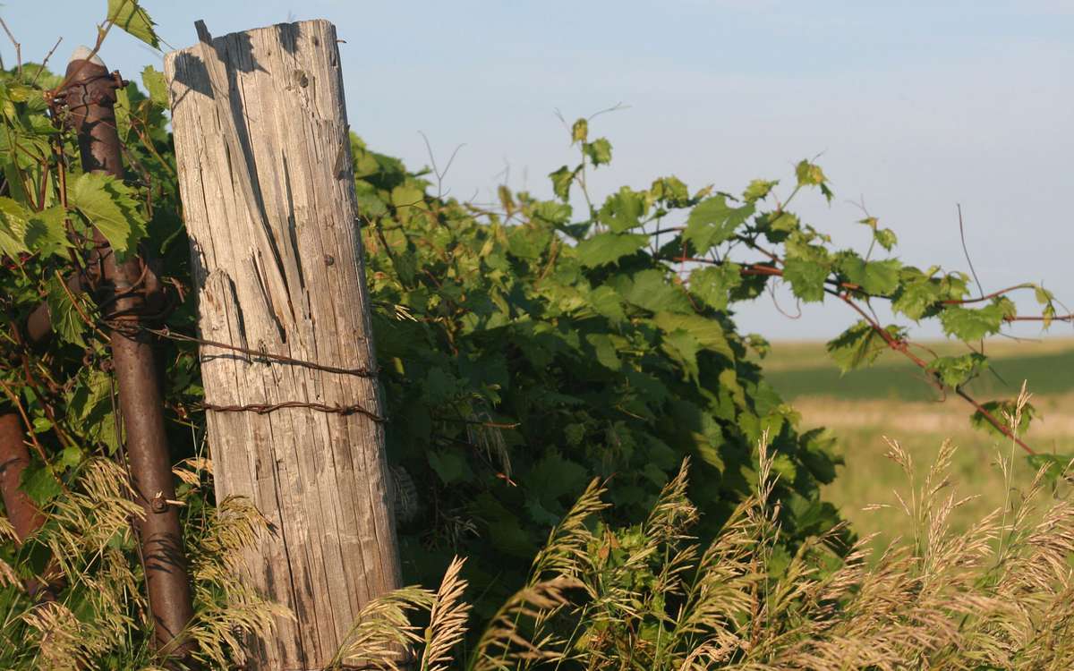 10 Unexpected U.S. Wine Trails: Western Iowa