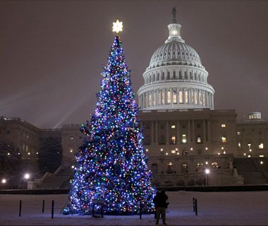 White House's National Christmas Tree on the Ellipse, Washington D.C.