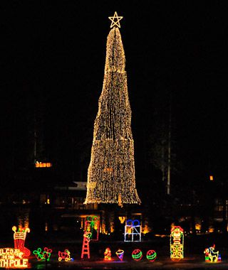 Coeur D'Alene, Idaho Christmas tree
